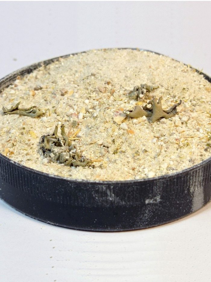 4762601154 busya cnail ulitka.jpg
