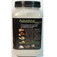 4762601172 busya achatina fito.jpg