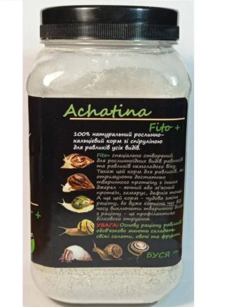 4762601172 busya achatina fito.jpg