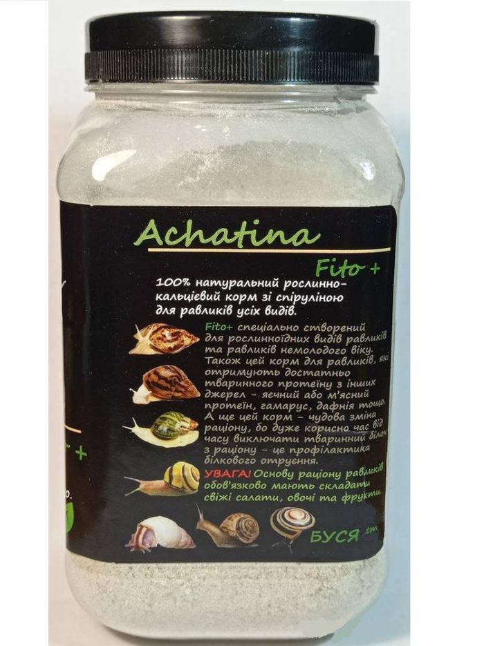 4762601172 busya achatina fito.jpg