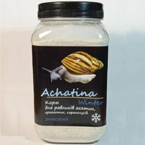 4762601174 busya achatina winter.jpg