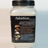 4762601175 busya achatina winter.jpg
