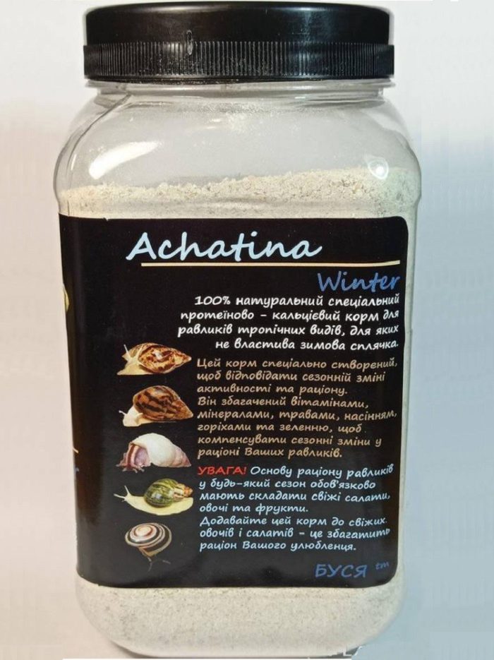 4762601175 busya achatina winter.jpg