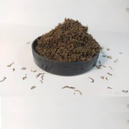 4762601179 busya bloodworm bludvorm.jpg