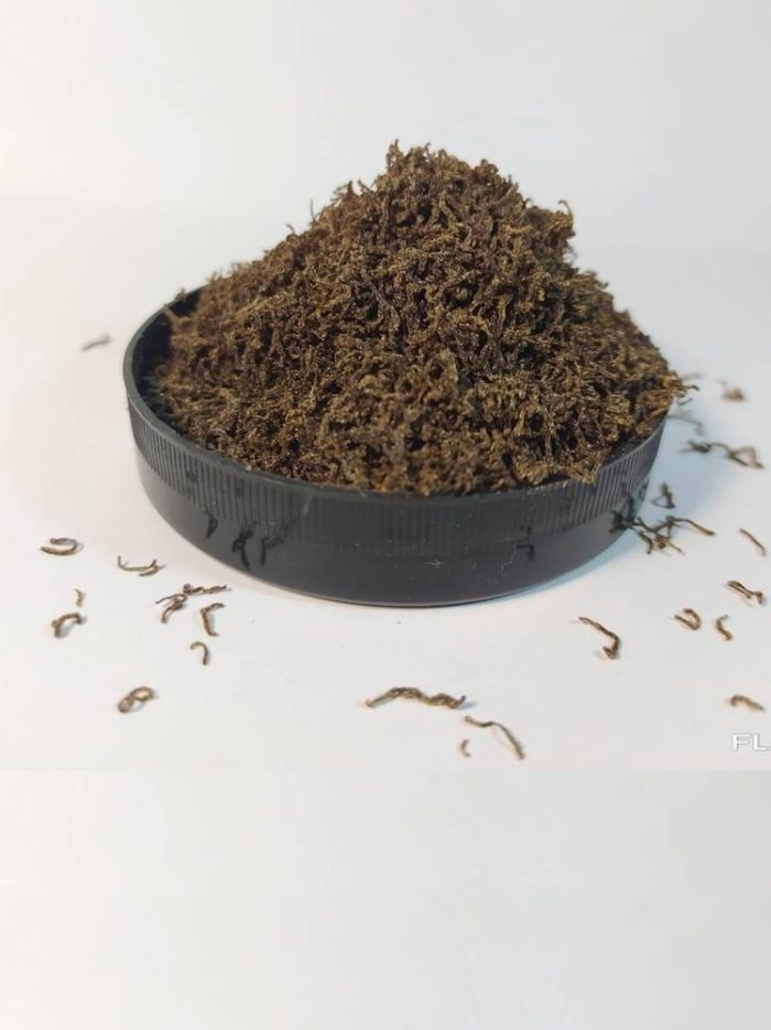 4762601179 busya bloodworm bludvorm.jpg
