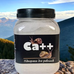 5236170378 busya ca dlya.jpg