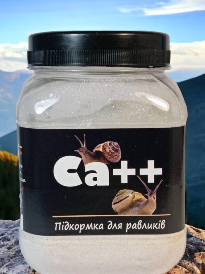 5236170378 busya ca dlya.jpg