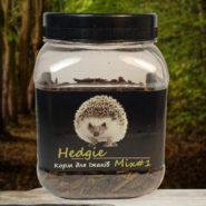 5236264820 busya hedgie mix.jpg