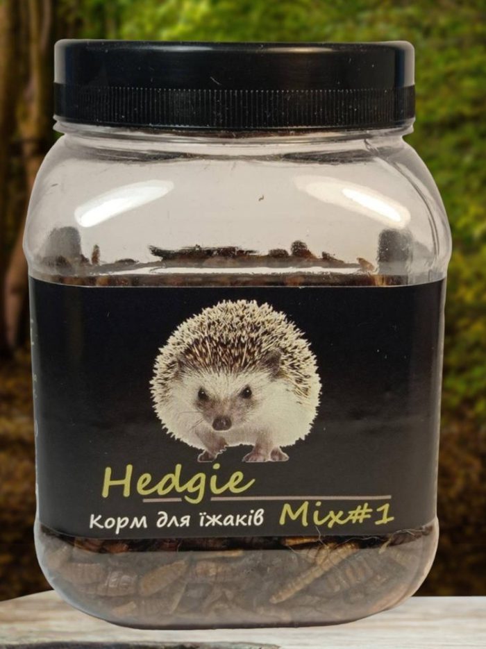5236265500 busya hedgie mix.jpg