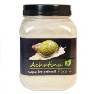 5237139666 busya achatina fito.jpg