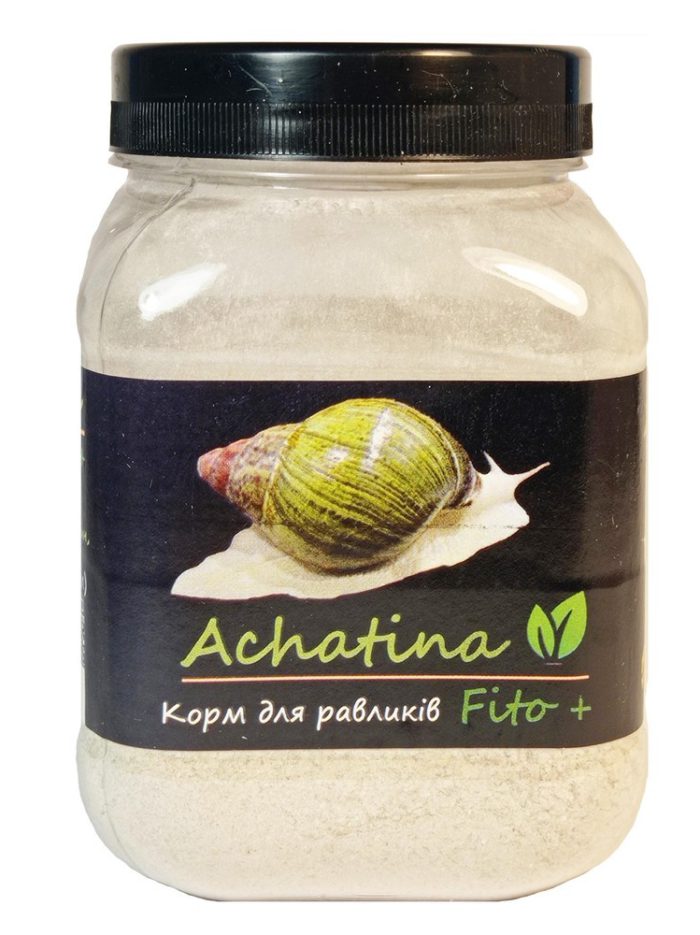 5237139666 busya achatina fito.jpg