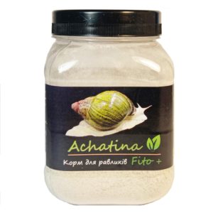 5237140060 busya achatina fito.jpg