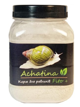 5237140060 busya achatina fito.jpg