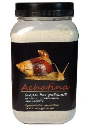 5237151129 busya achatina ahatin.jpg