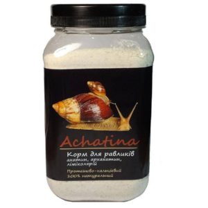 5237151534 busya achatina ahatin.jpg