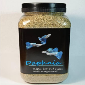 5237160456 busya daphnia dafniya.jpg