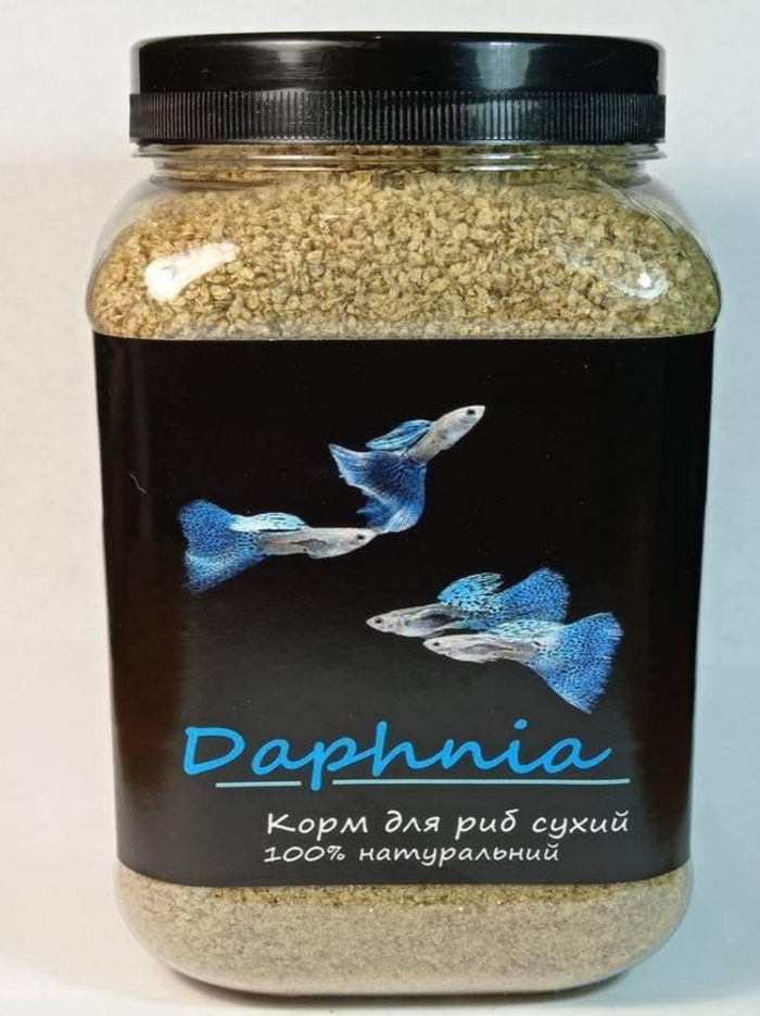 5237160456 busya daphnia dafniya.jpg