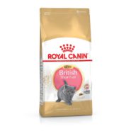 4813830909 royal canin british.jpg