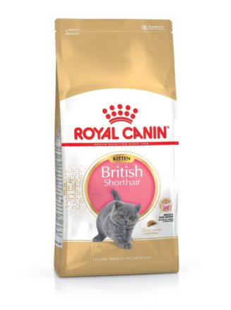 4813830909 royal canin british.jpg