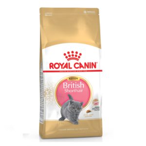 4880538852 royal canin british.jpg