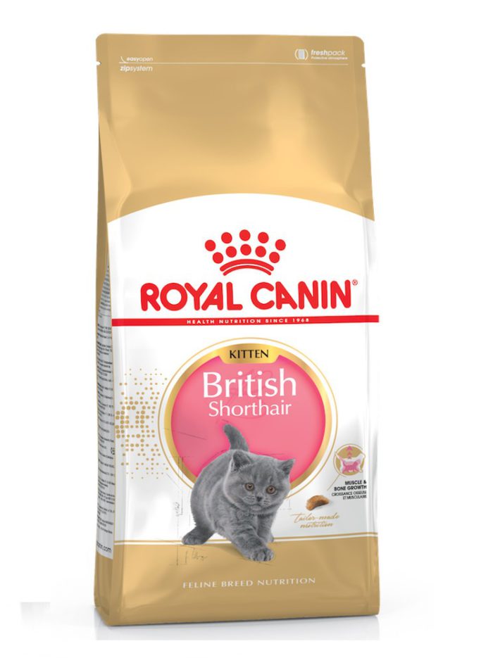 4880538852 royal canin british.jpg