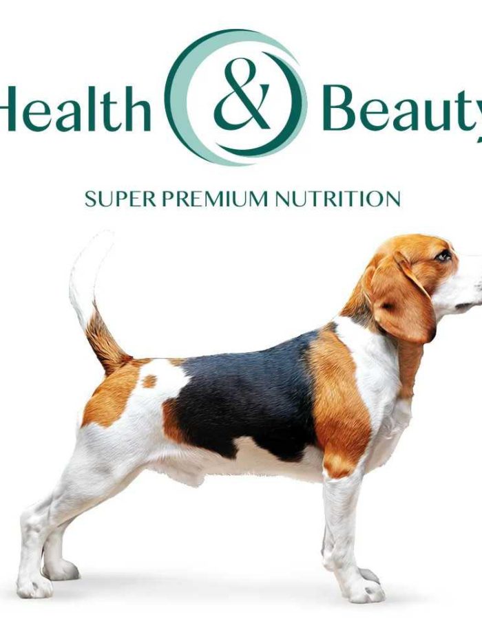 optimeal medium dog для собак средних пород с индейкой 12 кг