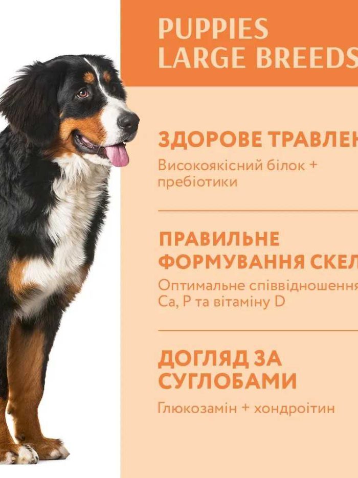 optimeal puppy large для щенков крупных пород с индейкой 12 кг