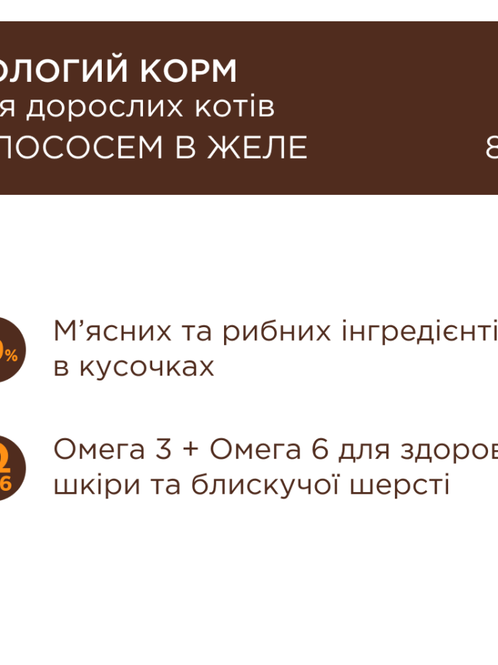 Клуб 4 Лапы premium с лососем в желе для кошек 24х85 г