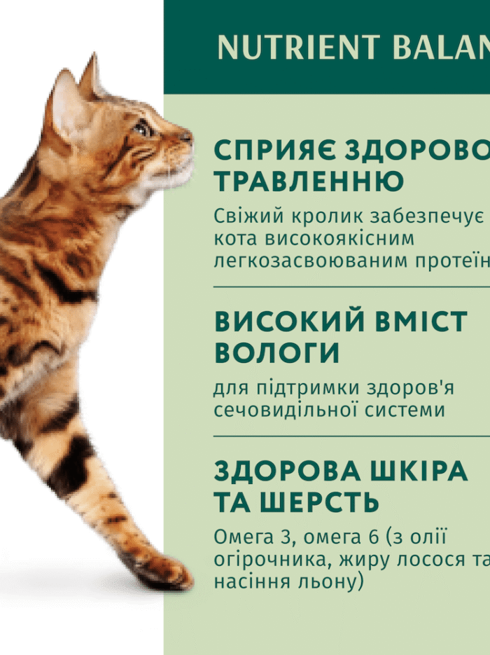 optimeal rabbit carrot jelly с кроликом в морковном желе для кошек 12х85 г